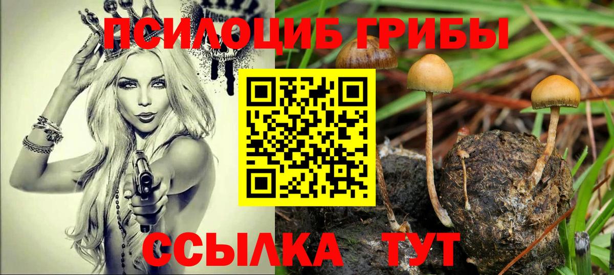 Галлюциногенные грибы GOLDEN TEACHER Туймазы