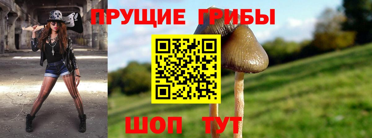 Псилоцибиновые грибы MAGIC MUSHROOMS  что такое   Вход с VPN  Туймазы  Псилоцибиновые грибы GOLDEN TEACHER 